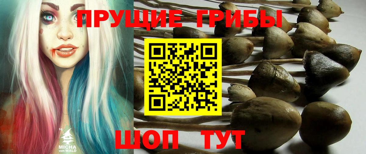 Мелеуз  Галлюциногенные грибы Magic Shrooms  Вход с VPN 